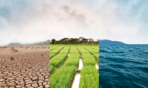 crest engineering environmental services